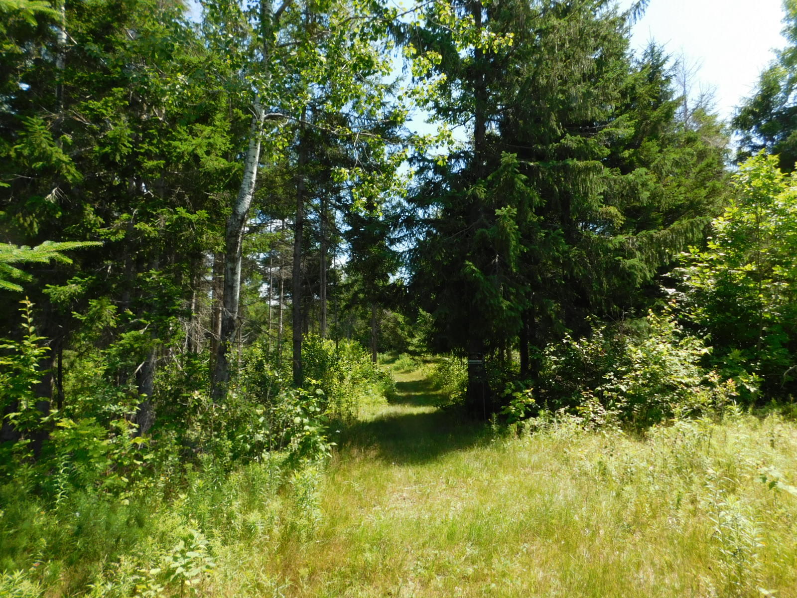 222 Snow Road Bridgewater, ME 04735 - Photo 35 of 38 DSCN8943