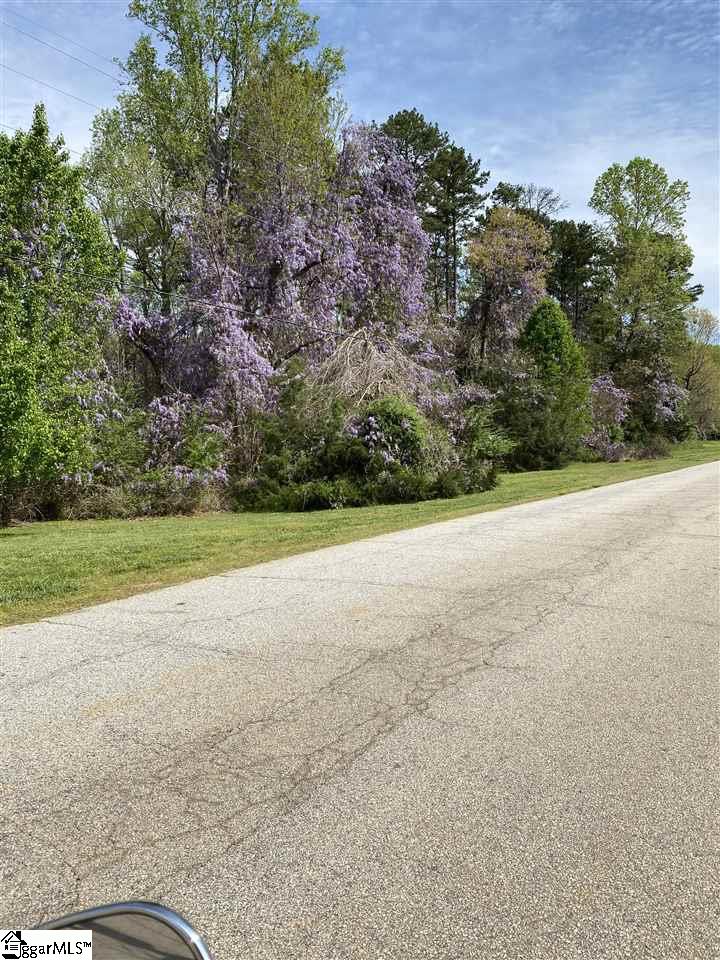 Motor Boat Club Road Greenville, SC 29611 - Photo 5 of 5