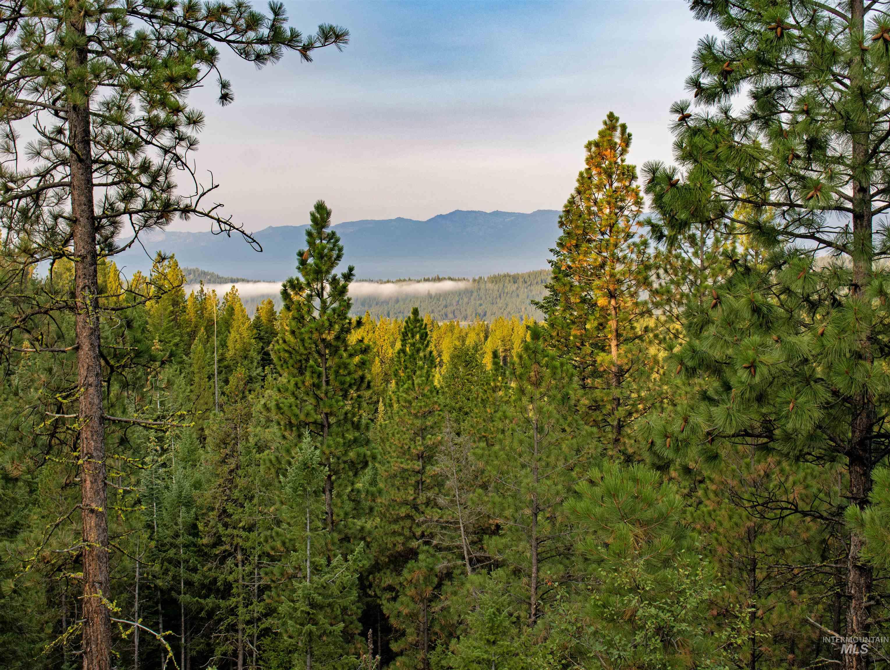 1 Warm Lake Road Cascade, ID 83611 - Photo 10 of 33