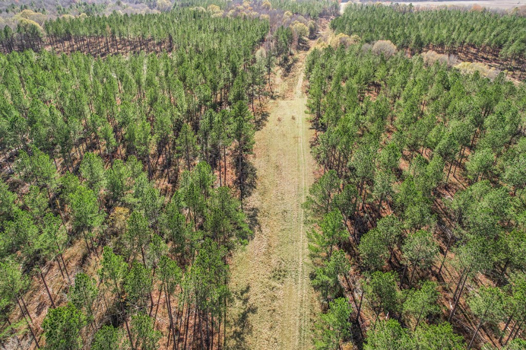 2050 St Paul Road Hazlehurst, MS 39083 - Photo 31 of 36 Photo 31