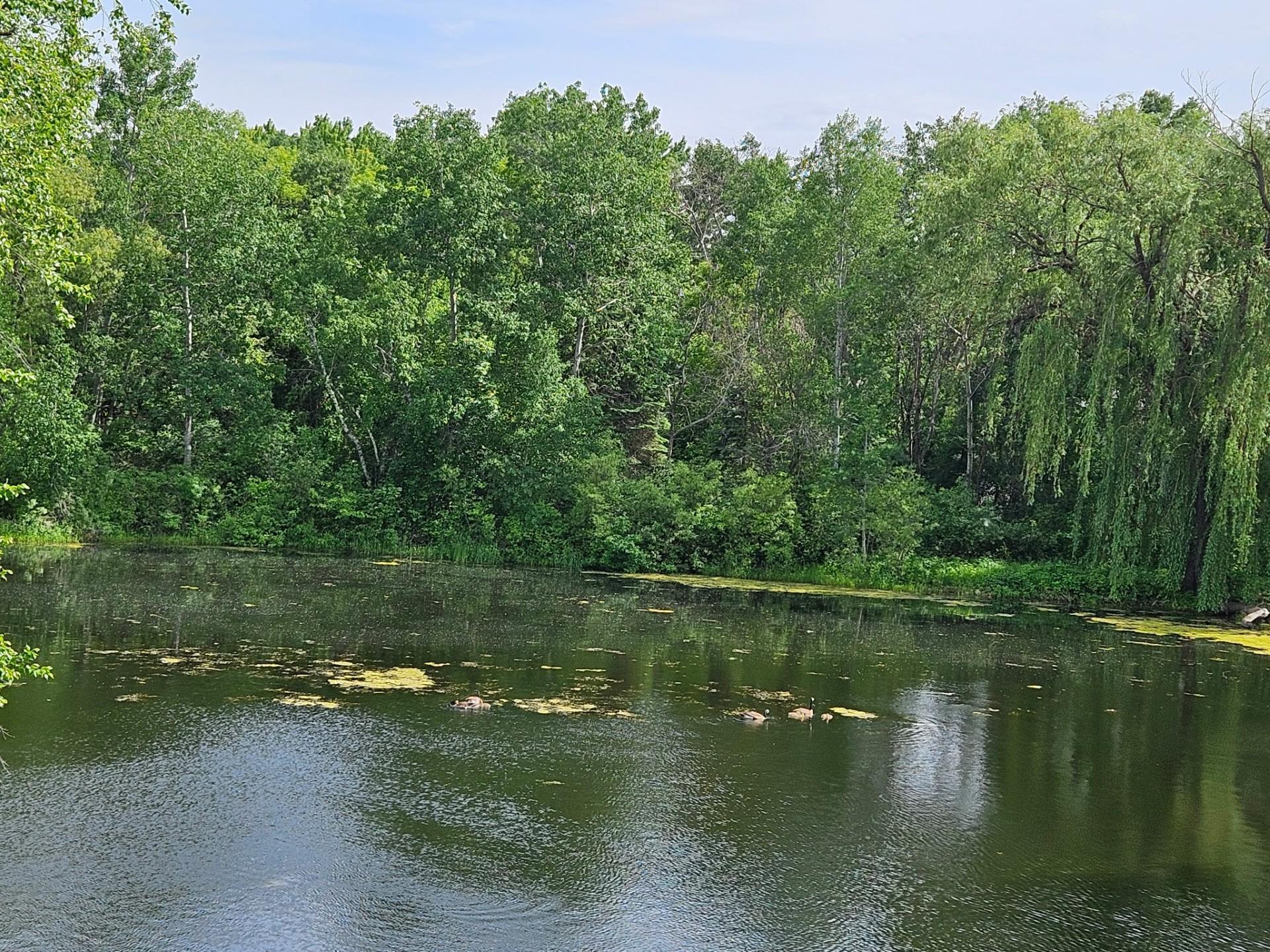 6131 Egg Lake Road North Hugo, MN 55038 - Photo 3 of 26