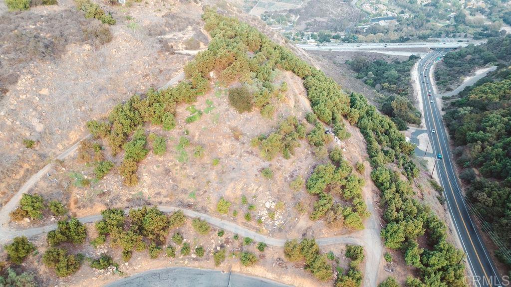 a picture of trees with green space