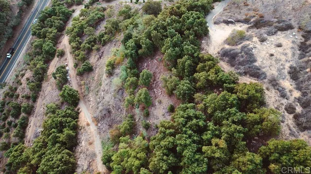 a view of a yard with plants and trees
