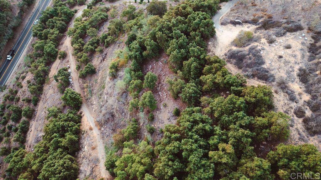 1411 Wild Acres Road Vista, CA 92084 - Photo 11 of 18 an aerial view of residential house with outdoor space and trees all around
