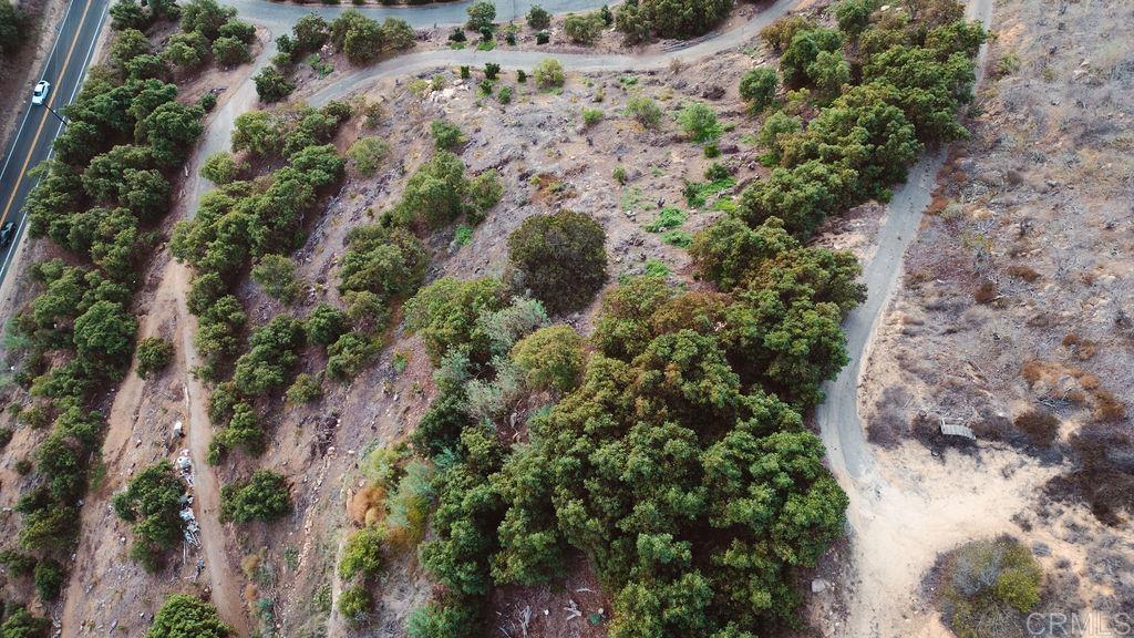 1411 Wild Acres Road Vista, CA 92084 - Photo 12 of 18 a view of a yard with plants and tree