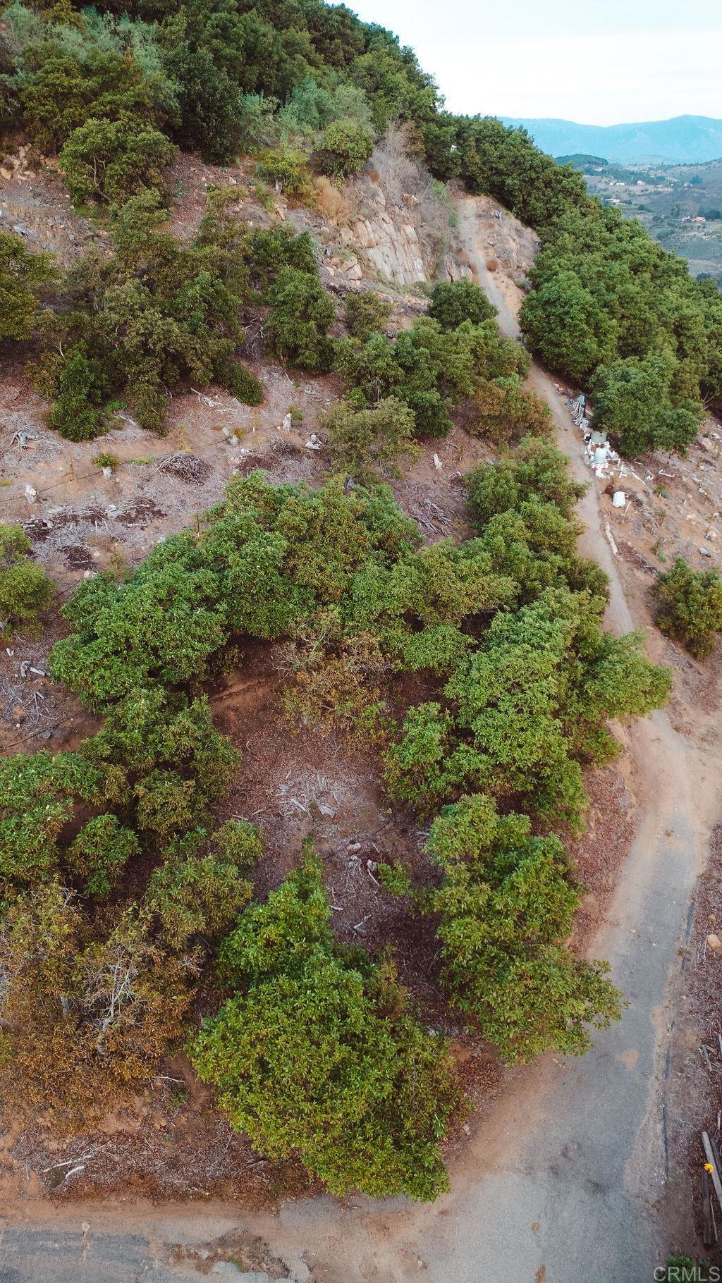 1411 Wild Acres Road Vista, CA 92084 - Photo 18 of 18 a view of a forest with a street