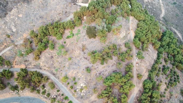 a view of a yard with plants and a bench