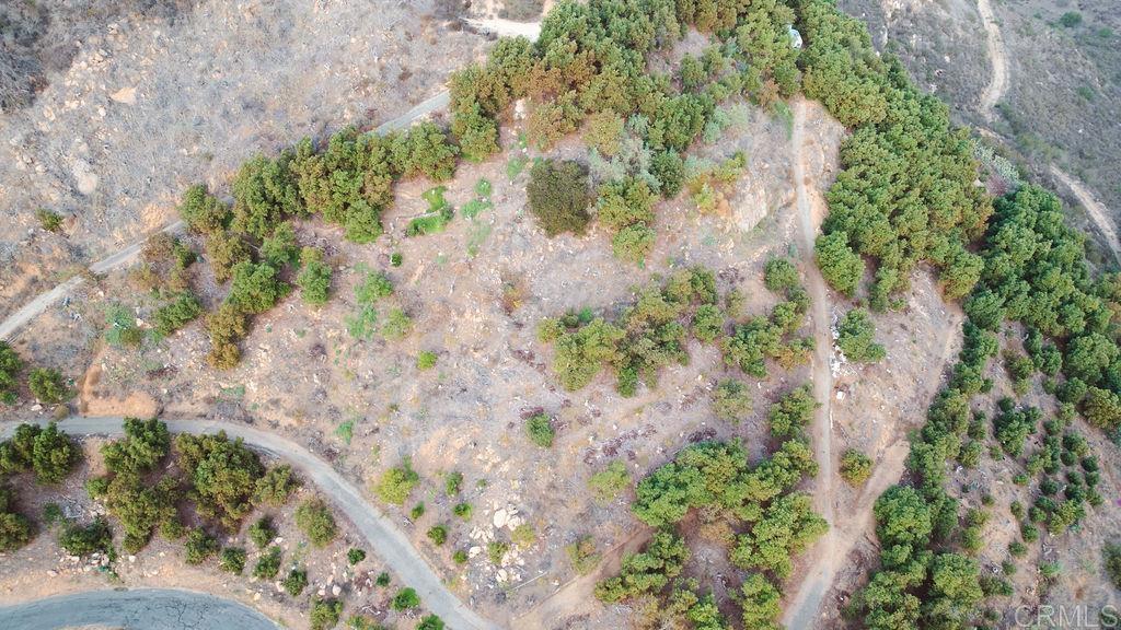 1411 Wild Acres Road Vista, CA 92084 - Photo 5 of 18 a view of a yard with plants and trees