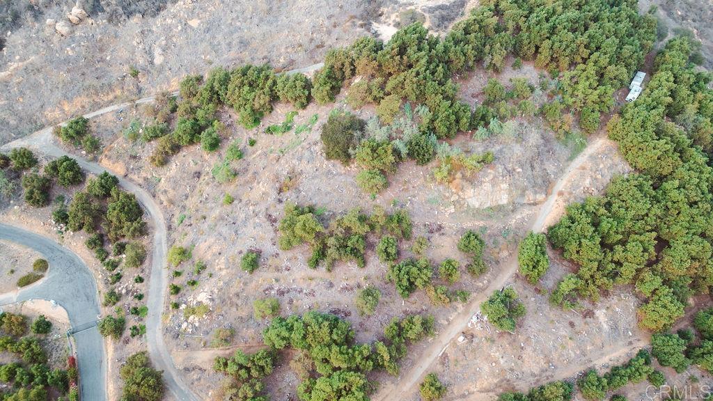 1411 Wild Acres Road Vista, CA 92084 - Photo 6 of 18 a view of a yard with plants and trees