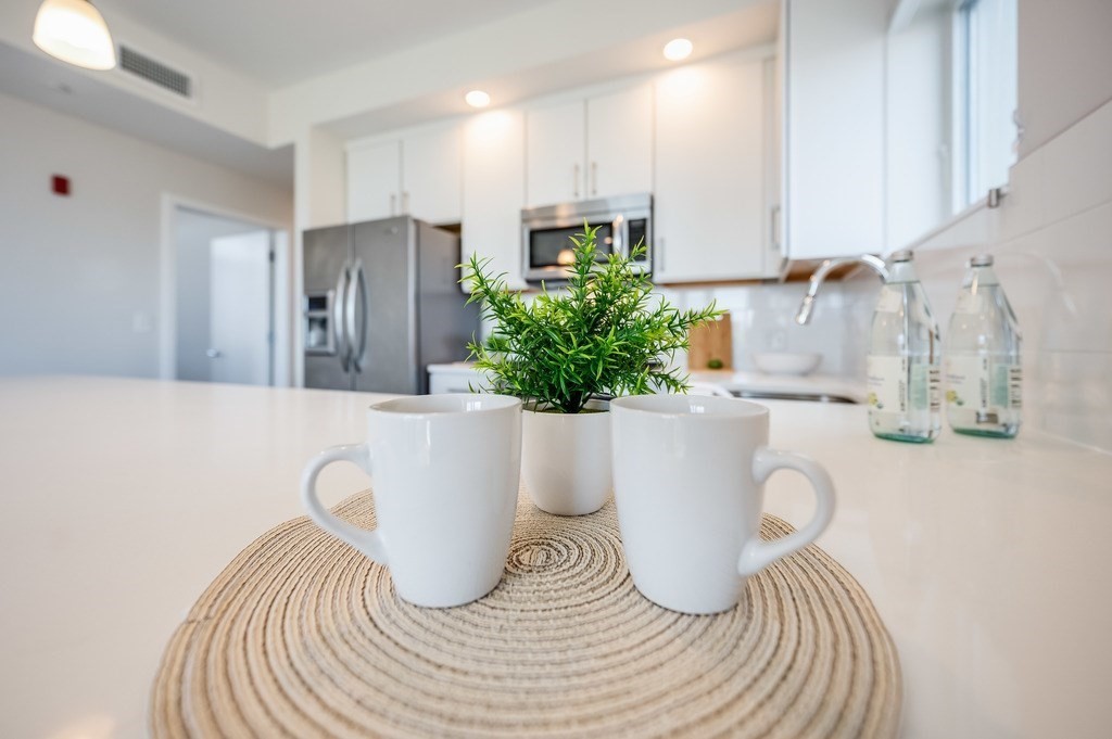 18 White Street, Unit 5 Cambridge, MA 02140 - Photo 12 of 30