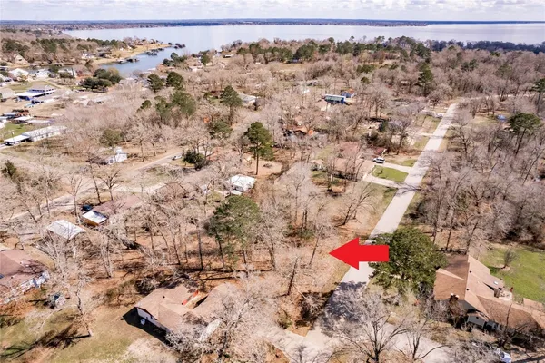 a view of a yard with a trees