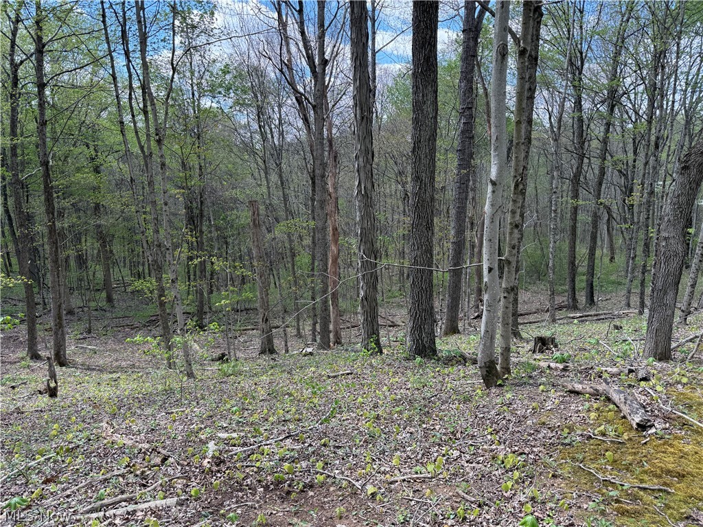 Plainview Road Woodsfield, OH 43793 - Photo 3 of 20