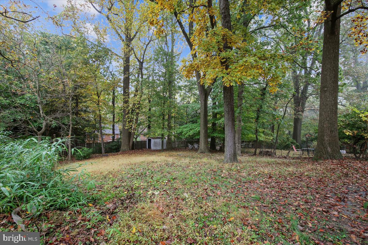 147 Ritchie Avenue Silver Spring, MD 20910 - Photo 11 of 46