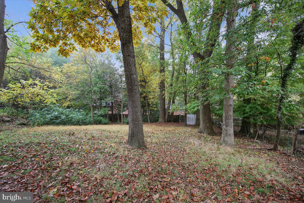 147 Ritchie Avenue Silver Spring, MD 20910 - Photo 10 of 46