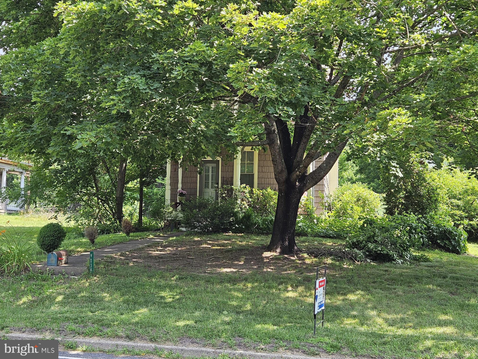 9039 Easton Road Ottsville, PA 18942 - Photo 52 of 61 a view of a backyard with a tree