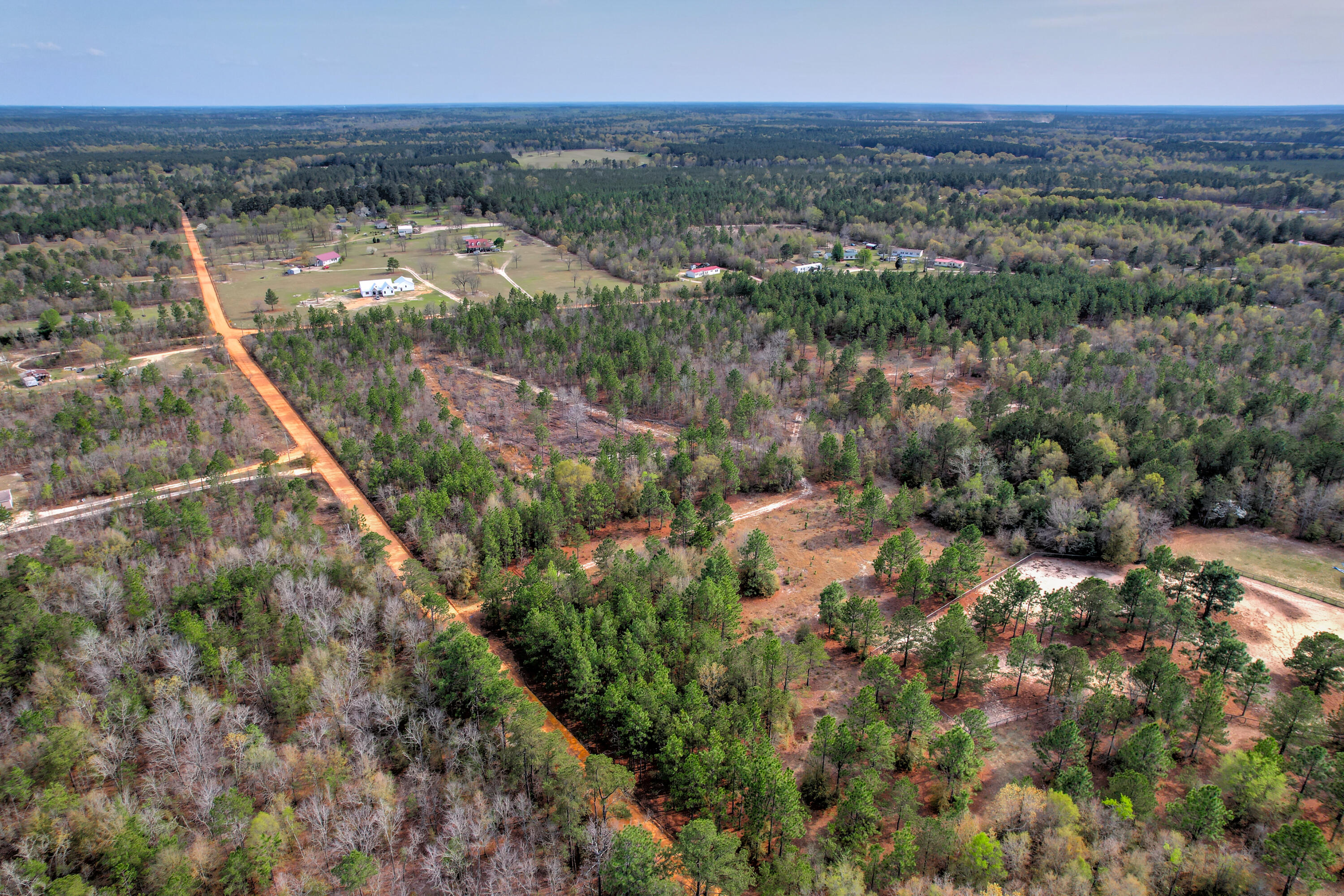 11-acres North 11-acres N Windsor Road Windsor, SC 29856 - Photo 6 of 16