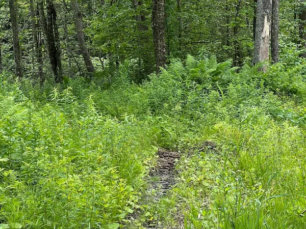 $96,600 | Lot 21 Becket Road, Hinsdale, MA 01235