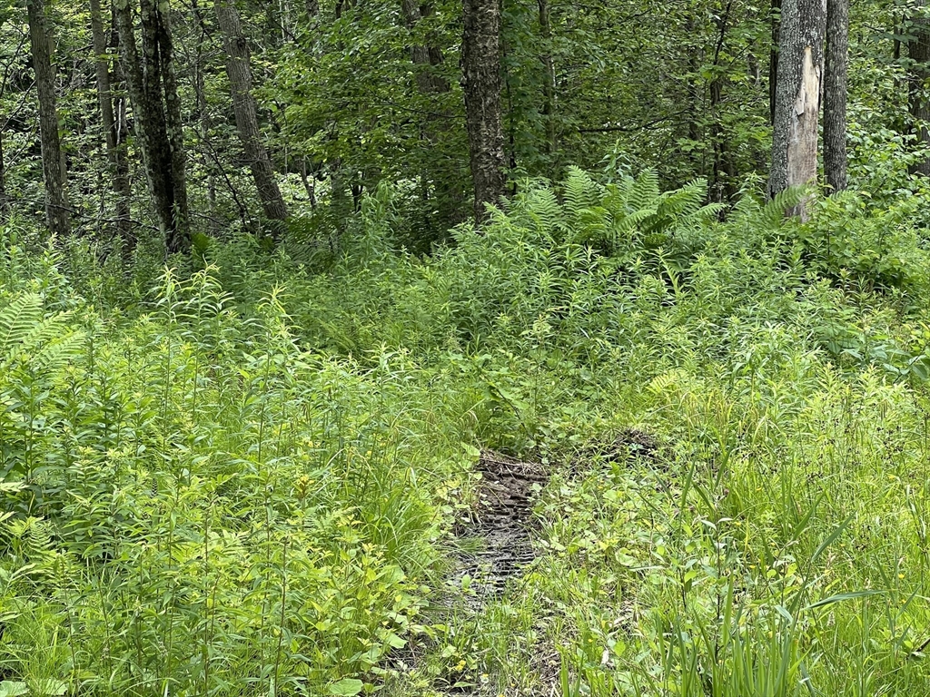 Lot 21 Becket Road Hinsdale, MA 01235 - Photo 1 of 5
