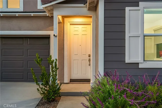 a potted plant sitting in front of a door