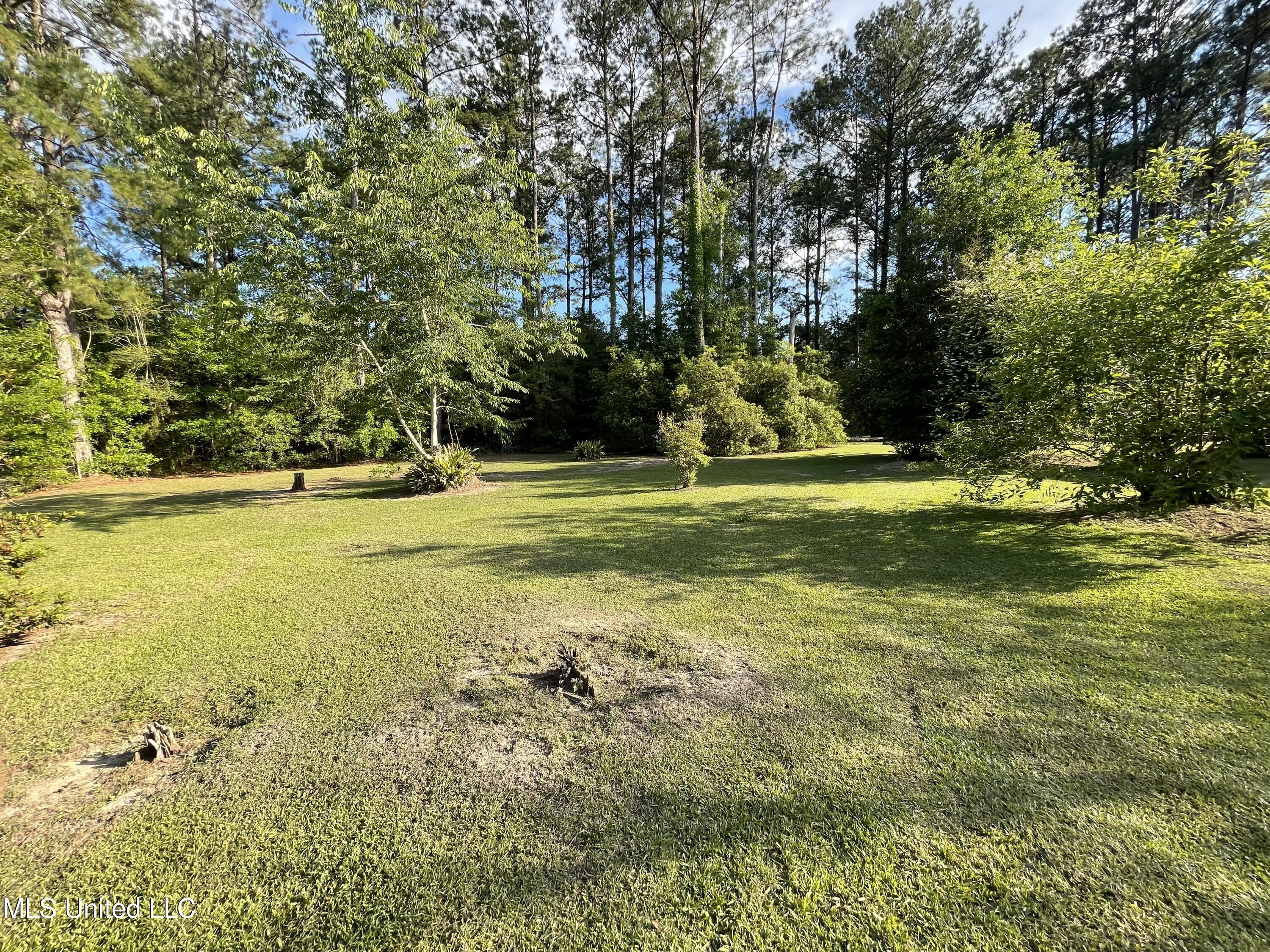 77 Covered Bridge Road Carriere, MS 39426 - Photo 2 of 19 backyard