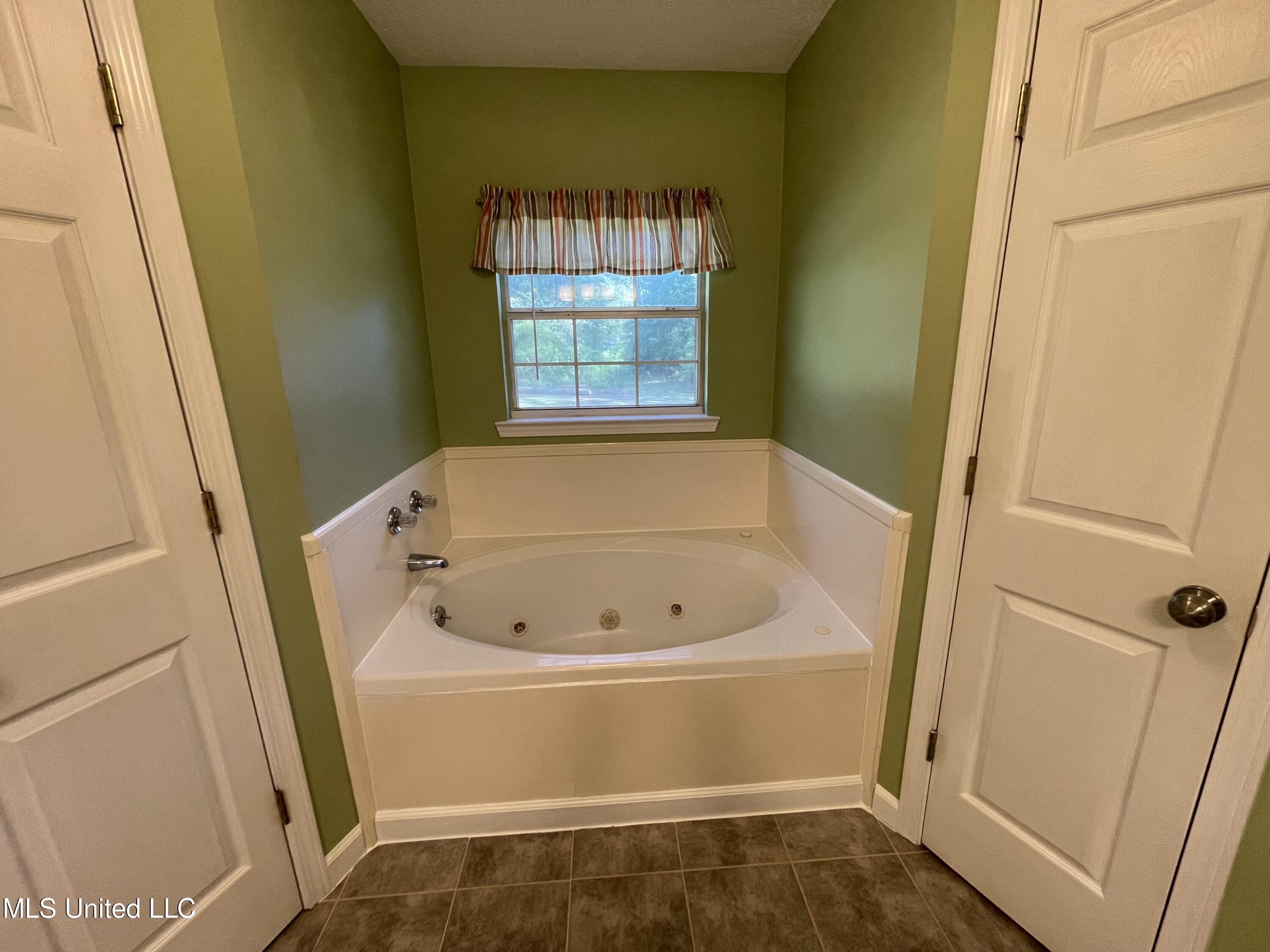 77 Covered Bridge Road Carriere, MS 39426 - Photo 10 of 19 master jetted tub