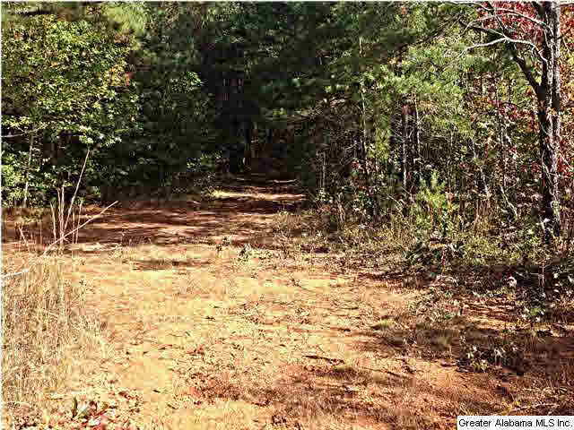 0 County Road 229, Unit 22 AC Fruithurst, AL 36262 - Photo 12 of 12