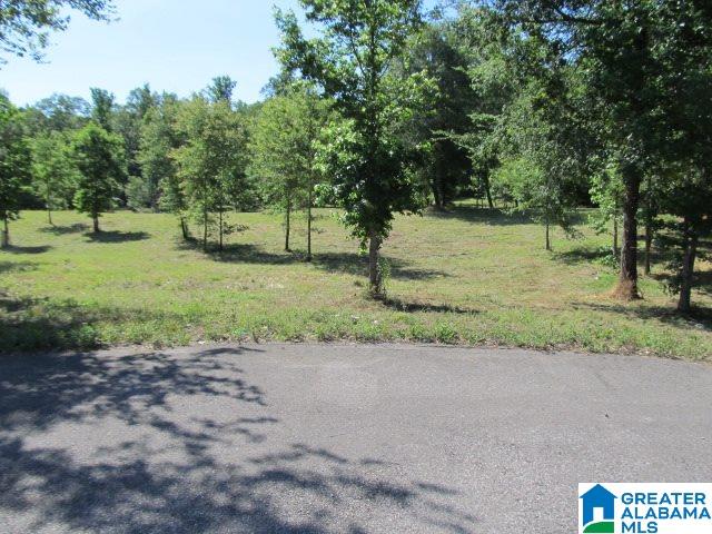 0 Choctaw Trail, Unit 10 Hayden, AL 35079 - Photo 23 of 24