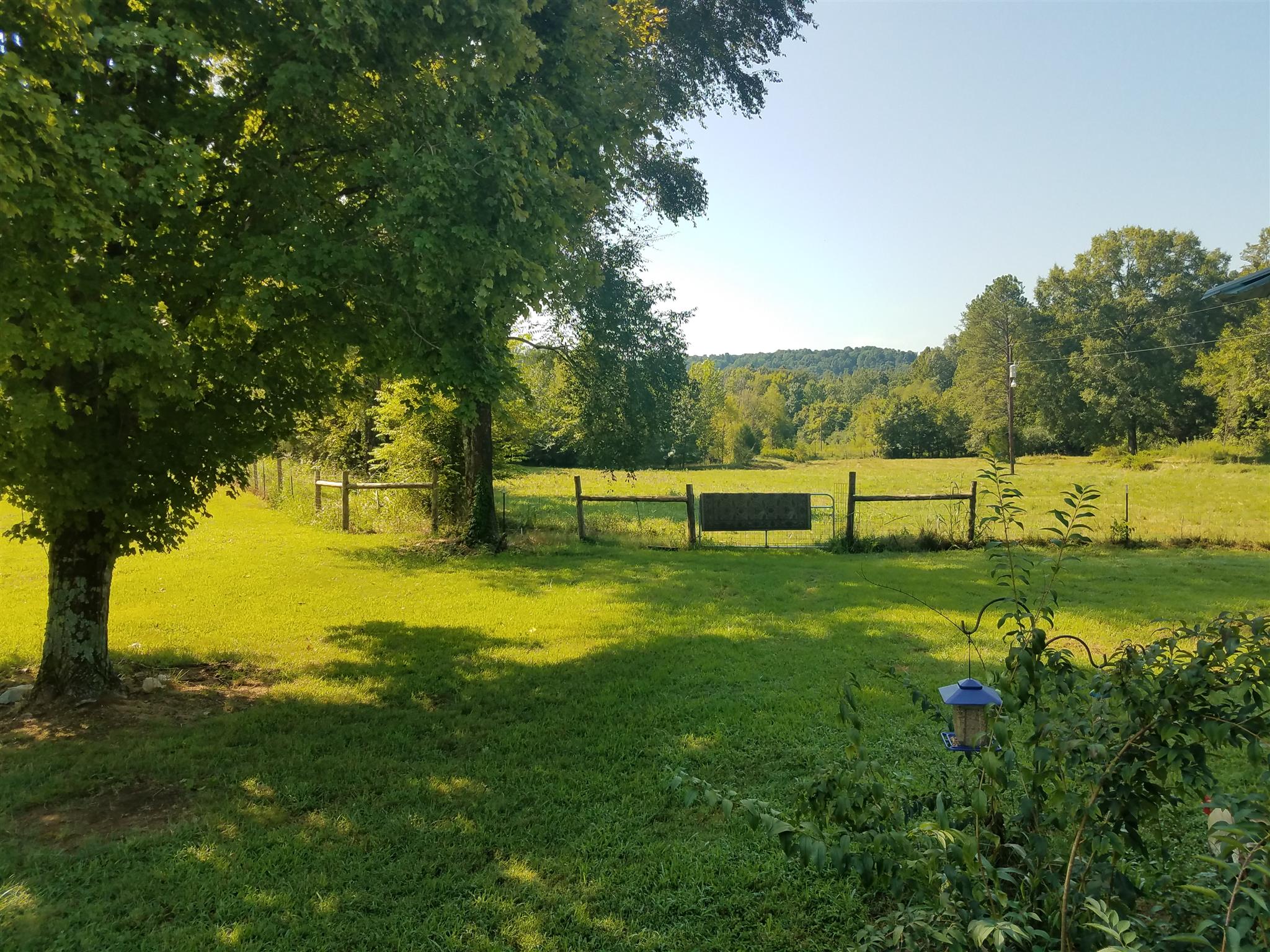 231 Beasley Hollow Road Linden, TN 37096 - Photo 15 of 36 Gallery Image 15