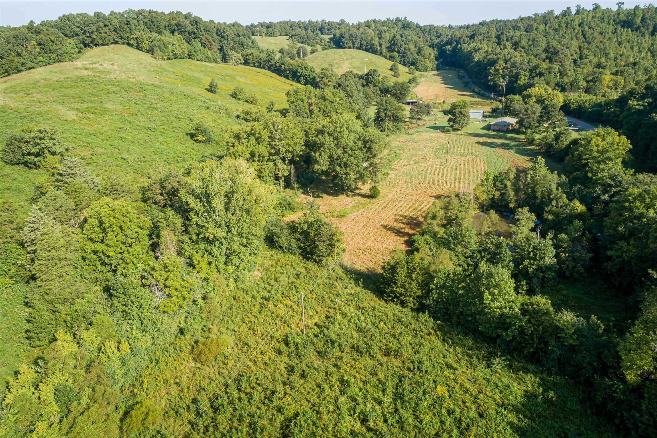 231 Beasley Hollow Road Linden, TN 37096 - Photo 16 of 36 Gallery Image 16