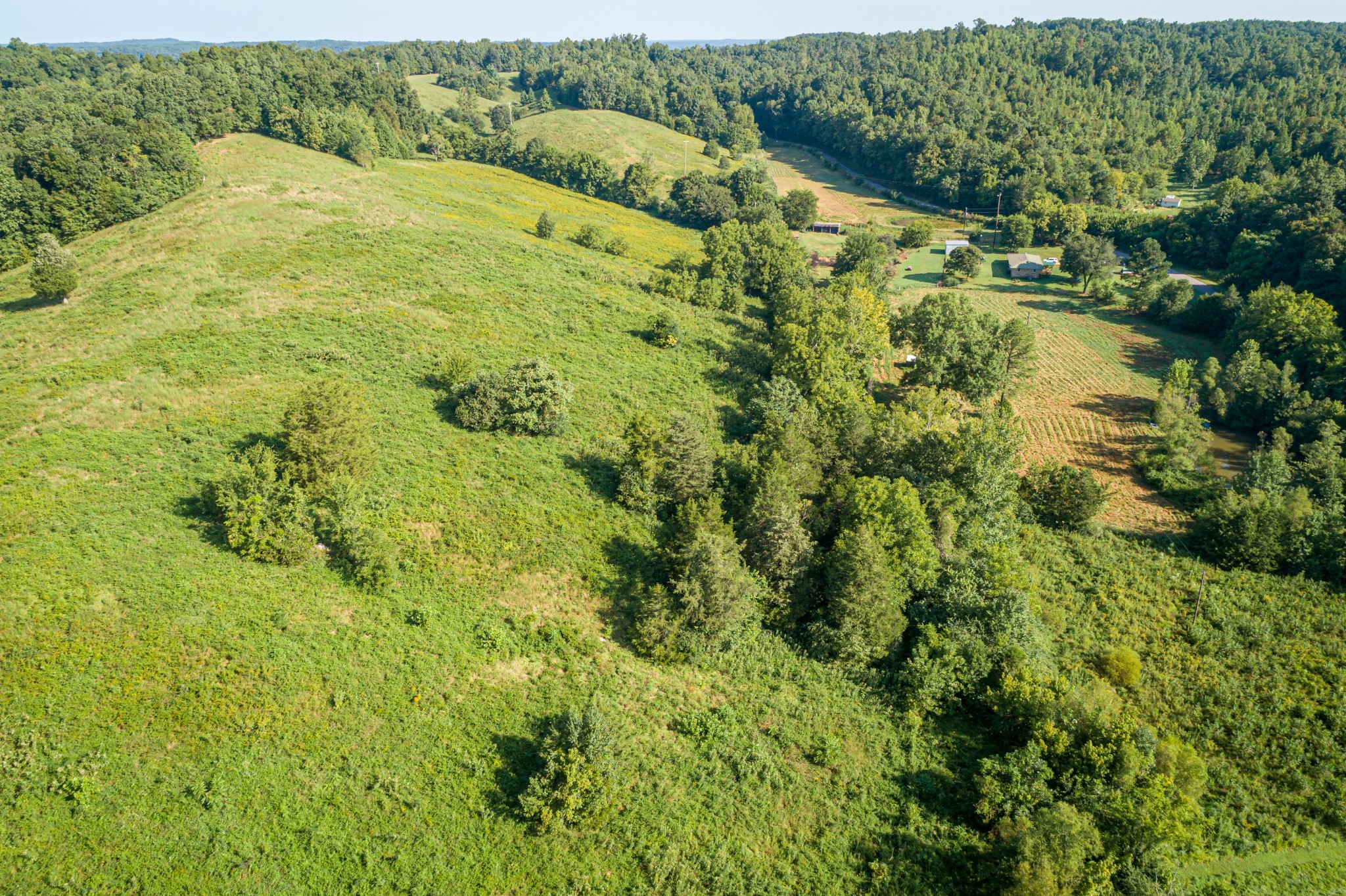 231 Beasley Hollow Road Linden, TN 37096 - Photo 27 of 36 Gallery Image 27