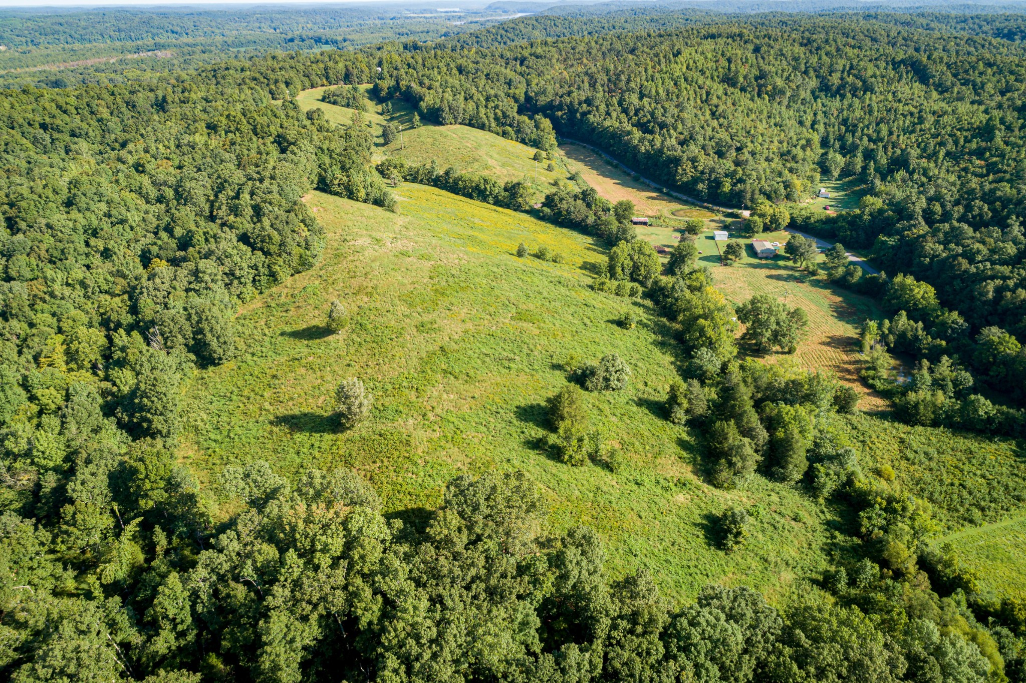 231 Beasley Hollow Road Linden, TN 37096 - Photo 30 of 36 Gallery Image 30