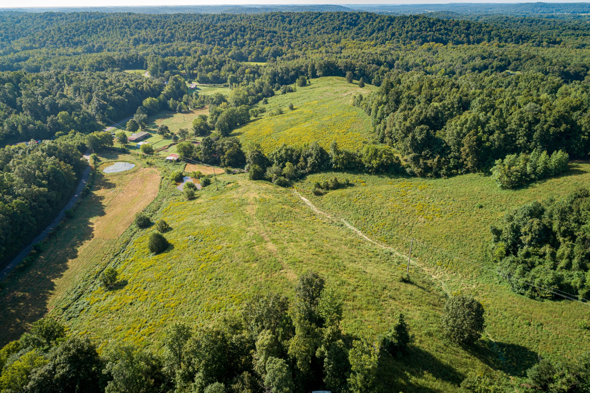 231 Beasley Hollow Road Linden, TN 37096 - Photo 33 of 36 Gallery Image 33