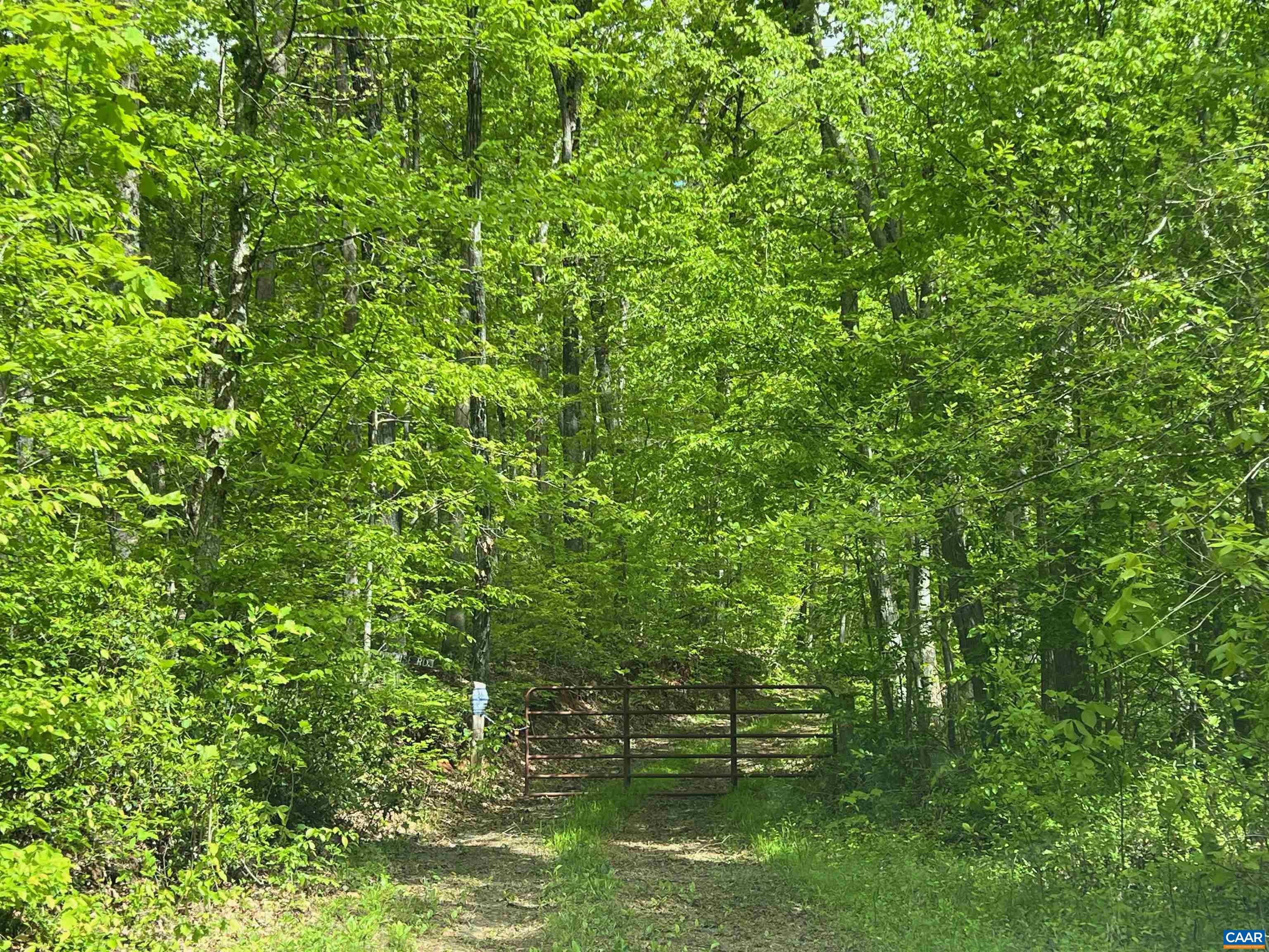 0 Hunting Lodge Road Schuyler, VA 22969 - Photo 3 of 10 Gallery Image 3
