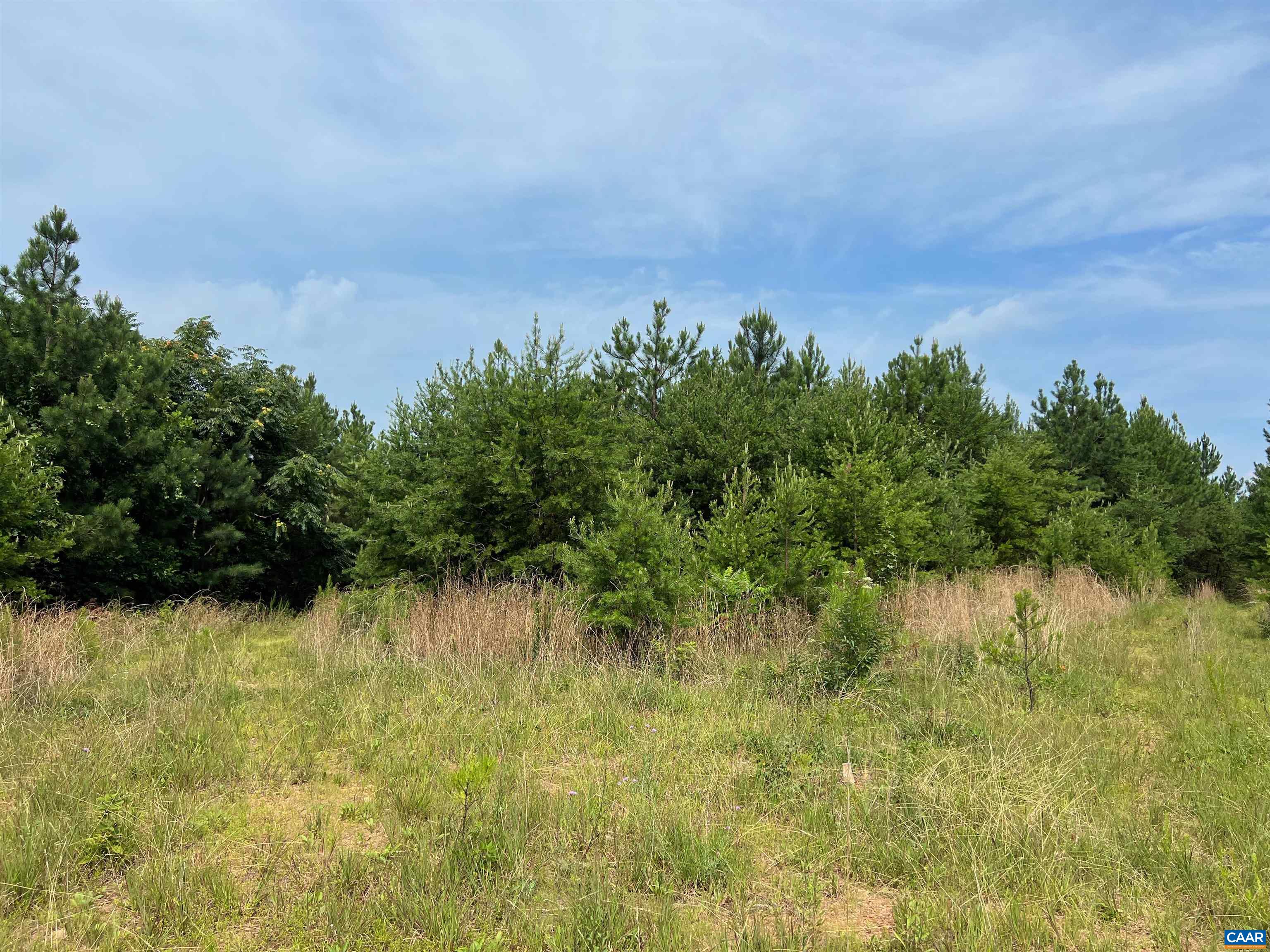 0 Hunting Lodge Road Schuyler, VA 22969 - Photo 7 of 10 Gallery Image 7