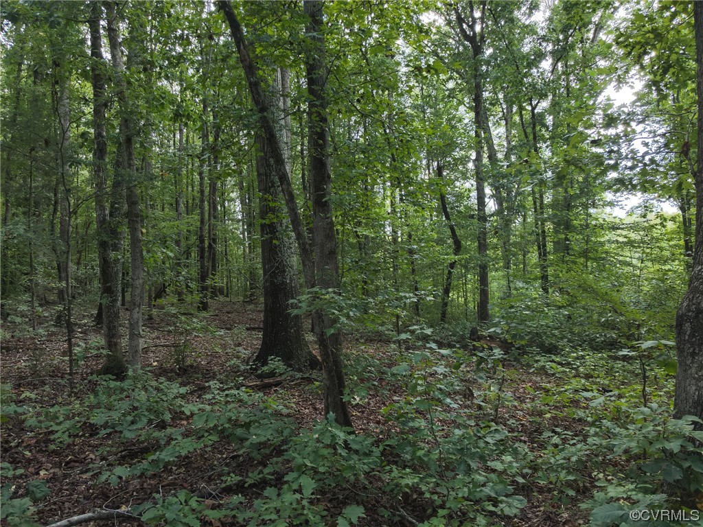 0 Worsham Road Powhatan, VA 23139 - Photo 21 of 28 Gallery Image 21