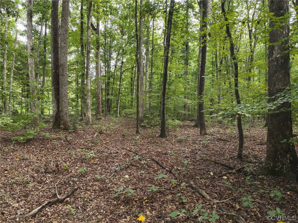 0 Worsham Road Powhatan, VA 23139 - Photo 22 of 28 Gallery Image 22