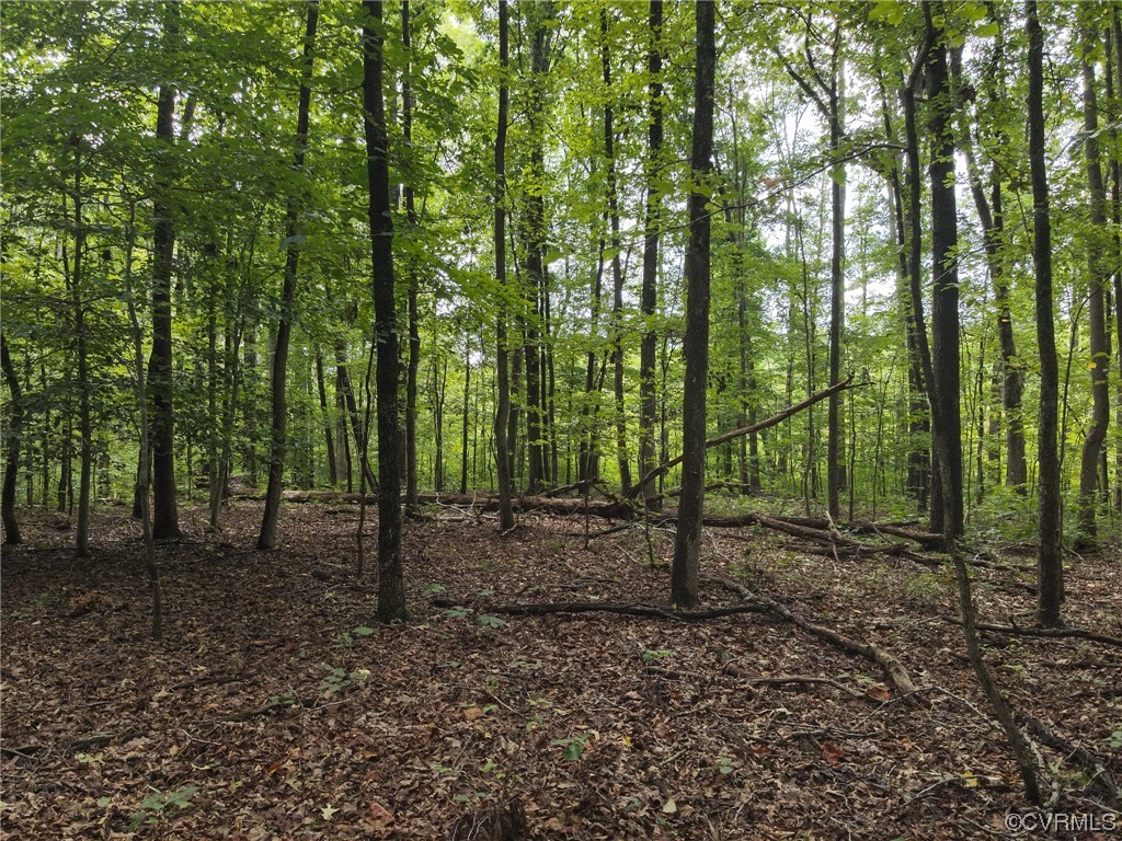 0 Worsham Road Powhatan, VA 23139 - Photo 23 of 28 Gallery Image 23