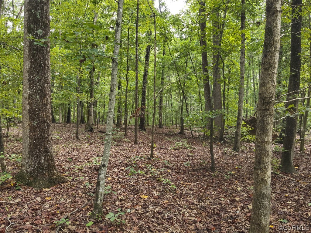0 Worsham Road Powhatan, VA 23139 - Photo 24 of 28 Gallery Image 24