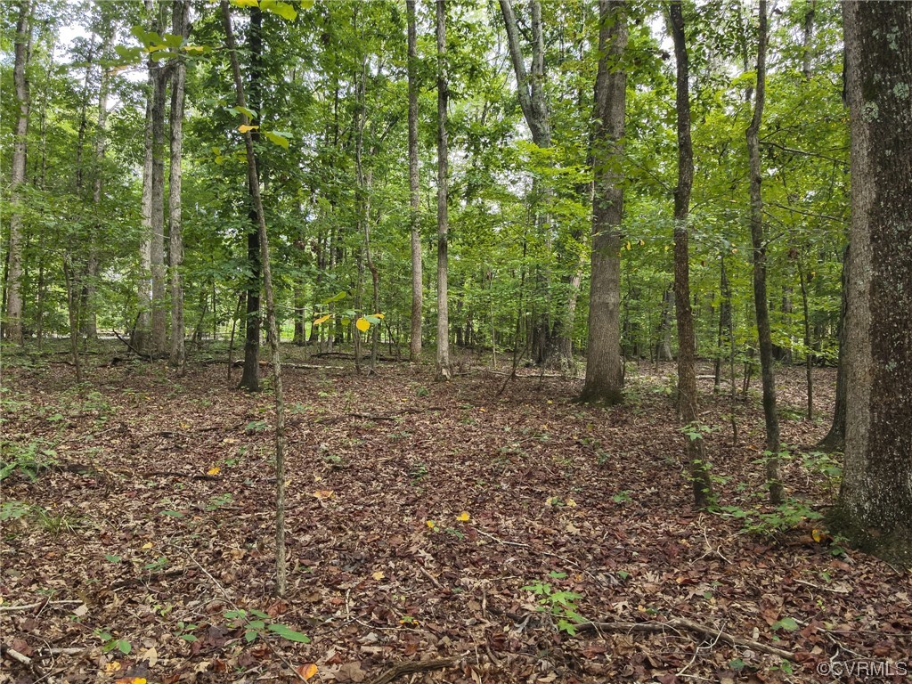 0 Worsham Road Powhatan, VA 23139 - Photo 25 of 28 Gallery Image 25