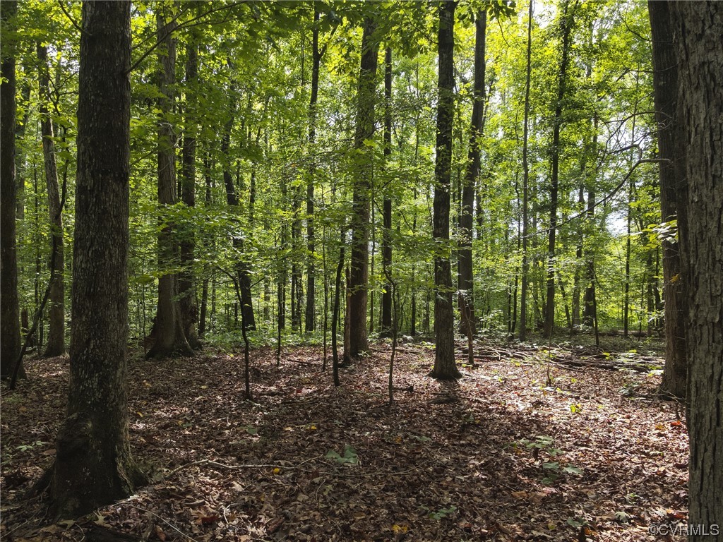 0 Worsham Road Powhatan, VA 23139 - Photo 26 of 28 Gallery Image 26