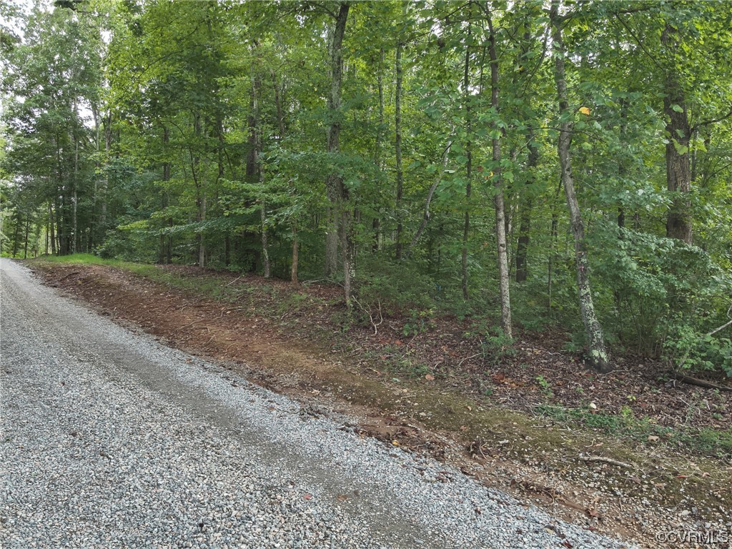 0 Worsham Road Powhatan, VA 23139 - Photo 4 of 28 Gallery Image 4