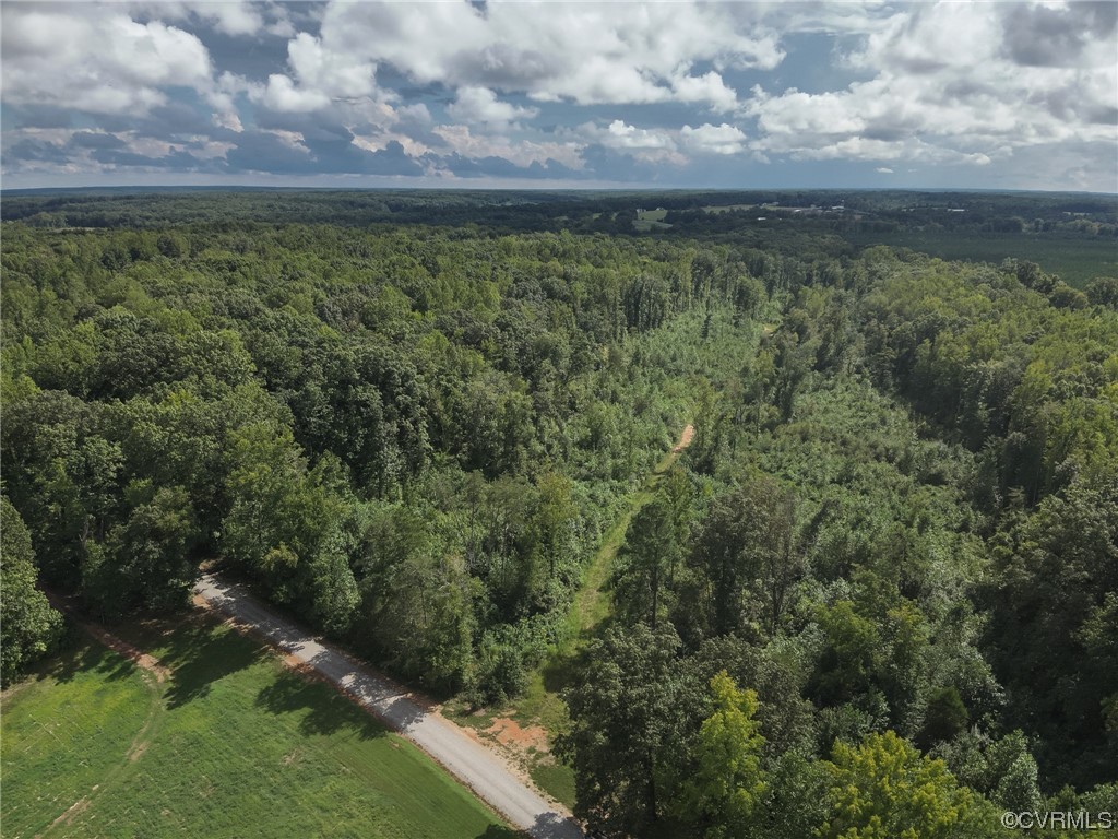 0 Worsham Road Powhatan, VA 23139 - Photo 5 of 28 Gallery Image 5