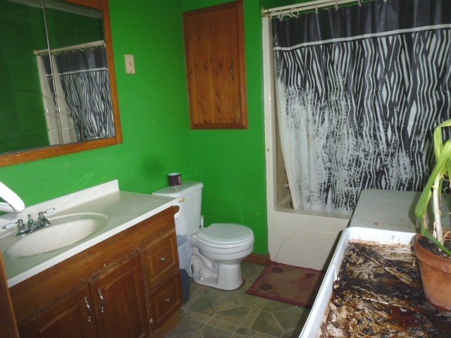 12901 Pine Road Dewitt, IL 61735 - Photo 17 of 23 a white toilet sitting next to a bathroom sink and tub