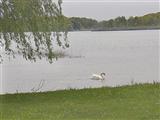 7909 Bendere Road Hickory Corners, MI 49060 - Photo 3 of 5 Additional Photo