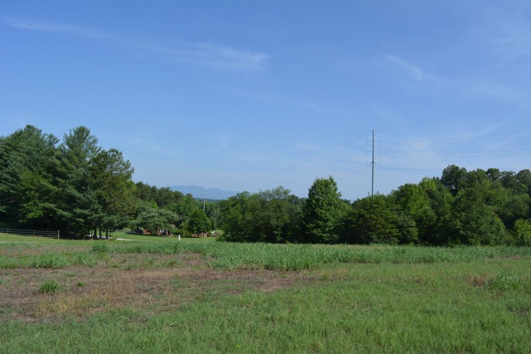 Lot 3 Gramling School Road Inman, SC 29349 - Photo 12 of 24