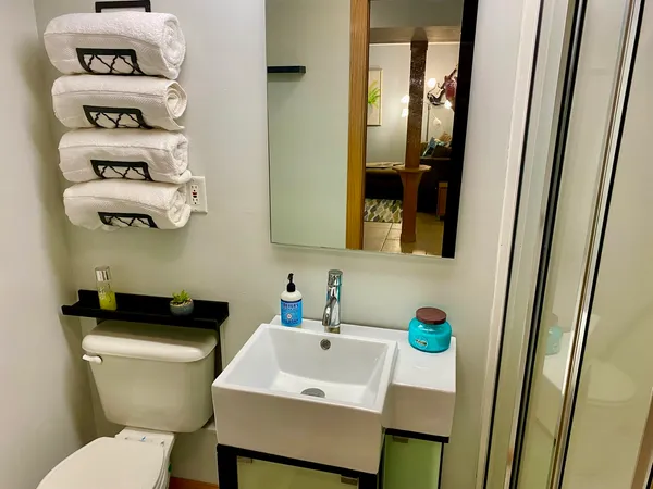 a bathroom with a sink a toilet and a mirror