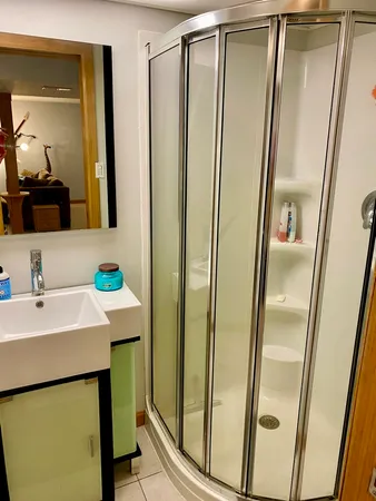 a bathroom with a sink a mirror and a shower
