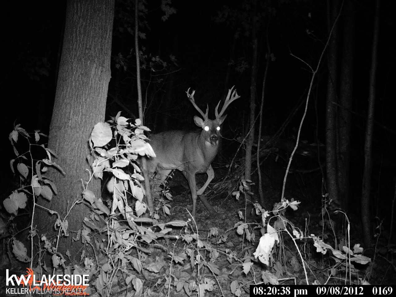 9977 Big Hand Road Columbus, MI 48063 - Photo 35 of 39 31395514-40.JPG