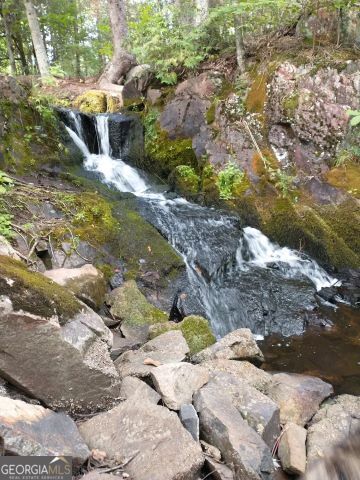 a view of a yard with plants