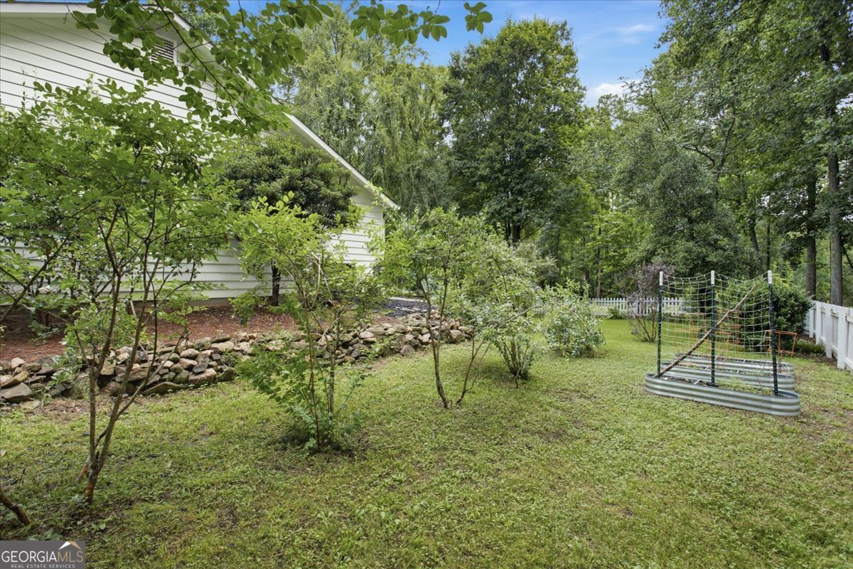 267 Joe Cox Road Sharpsburg, GA 30277 - Photo 73 of 83